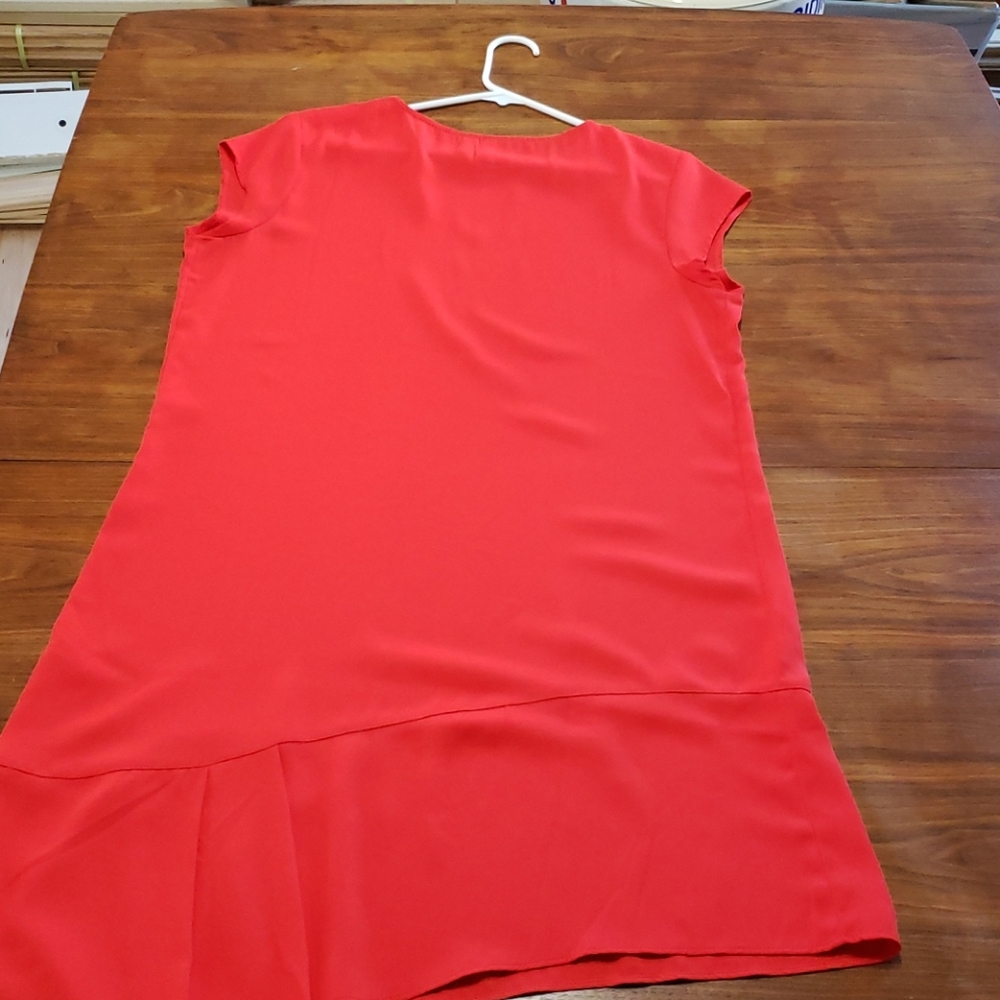Red Shift Dress - Picture 4 of 4